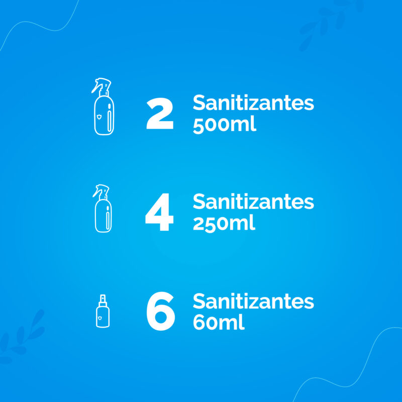 Combo Sanitizante - Image 2
